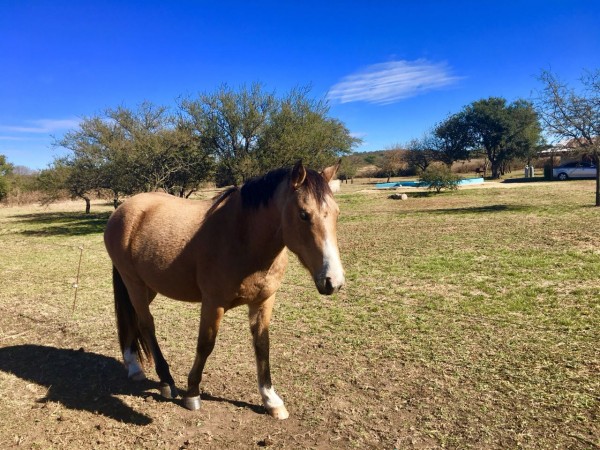 SE VENDEN LOTES ENTRE ALMAFUERTE Y EMBALSE DE CALAMUCHITA