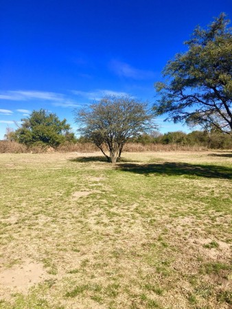 SE VENDEN LOTES ENTRE ALMAFUERTE Y EMBALSE DE CALAMUCHITA