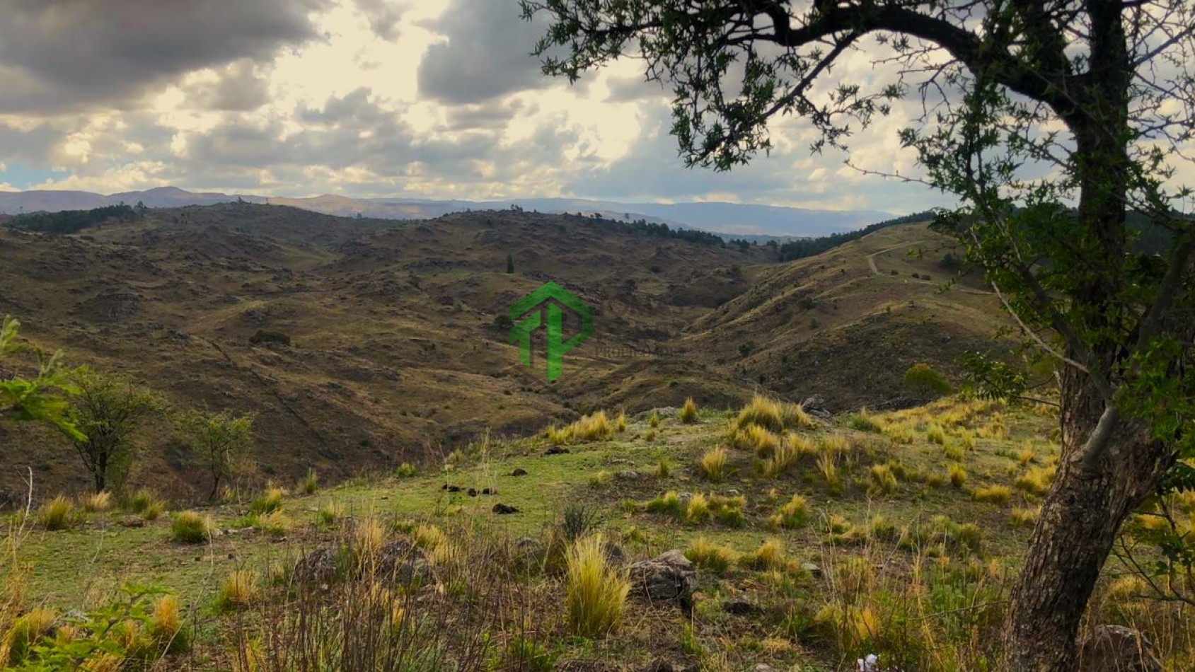 Descubre la Serenidad en Yacanto: Venta de Campo con Vistas Impresionantes