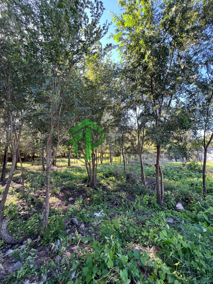 VENTA TERRENO 4.600 METROS EN EMBALSE CORDOBA 