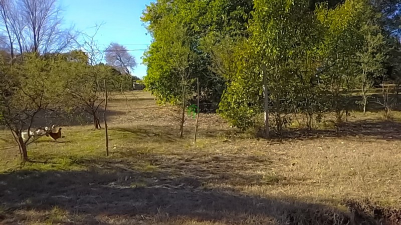 VENDO LOTE SOBRE LA RUTA EN V. CIUDAD PARQUE