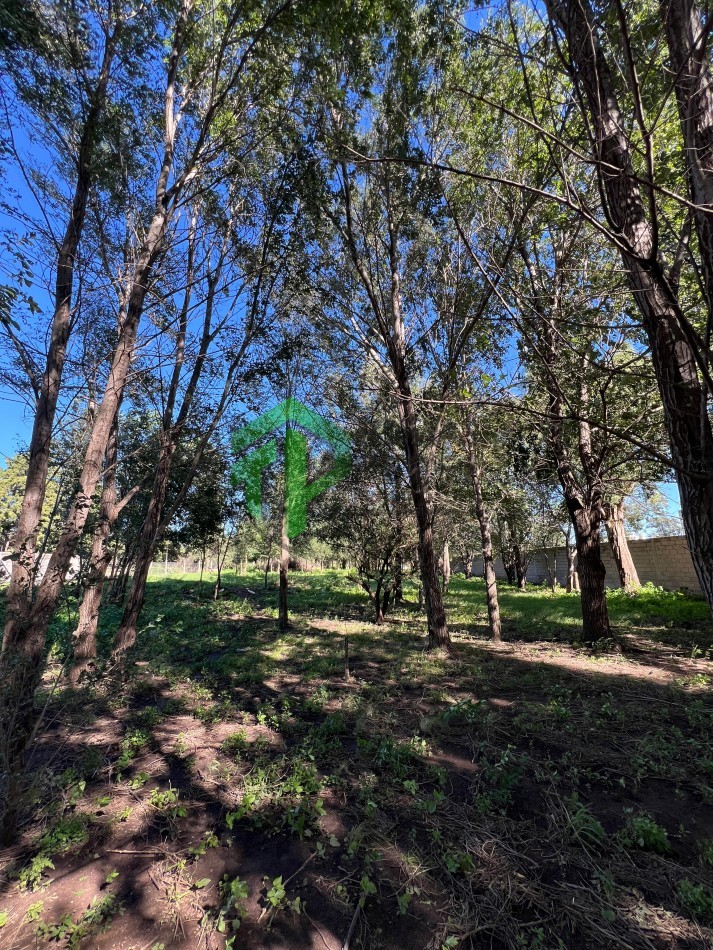 VENTA TERRENO 4.600 METROS EN EMBALSE CORDOBA 