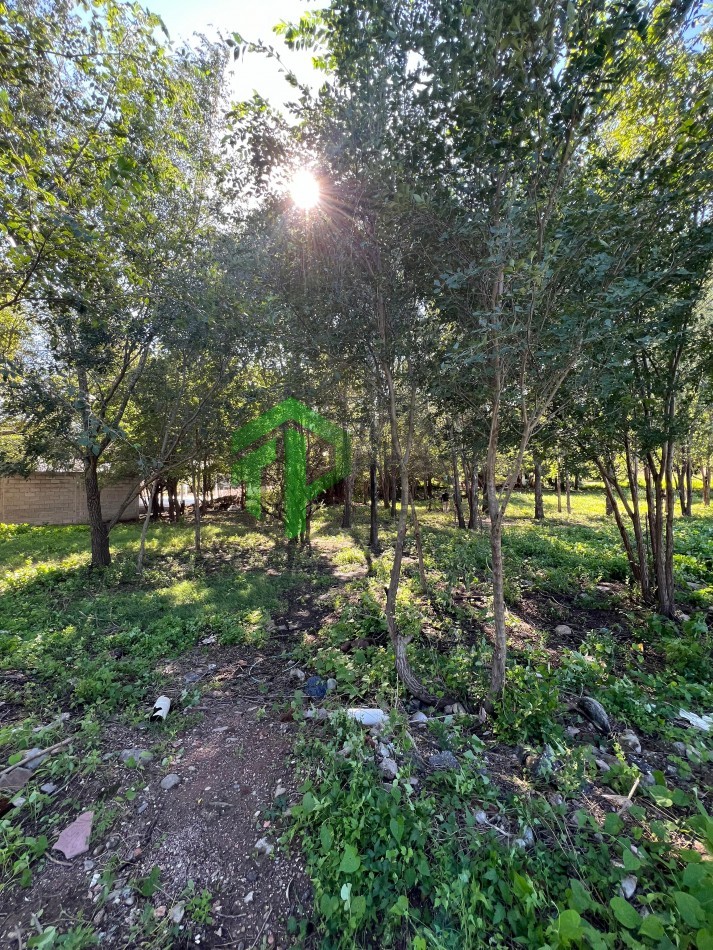 VENTA TERRENO 4.600 METROS EN EMBALSE CORDOBA 