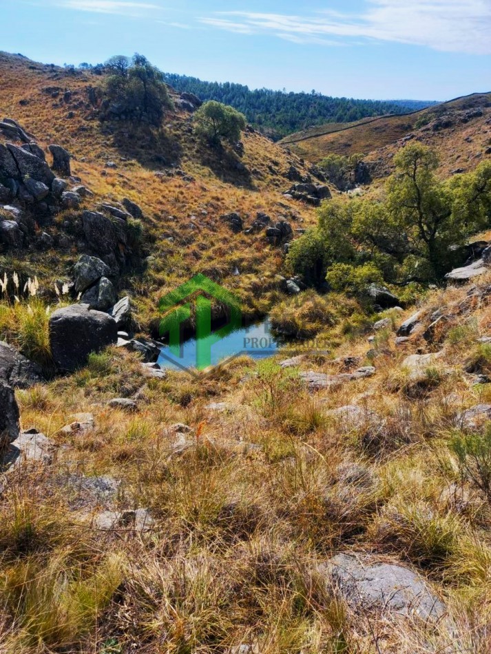 Descubre la Serenidad en Yacanto: Venta de Campo con Vistas Impresionantes