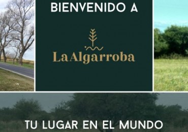 SE VENDEN LOTES ENTRE ALMAFUERTE Y EMBALSE DE CALAMUCHITA